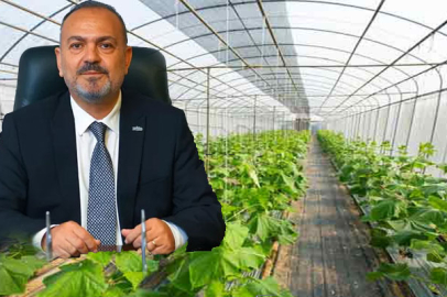 İhracatta rekor üç sebzede ; domates,biber ve salatalık