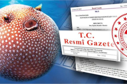 BALON BALIĞI AVLAYANA 25 TL DESTEK VERİLECEK.