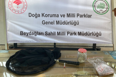 KEMER'DE YABANCI AKADEMİSYEN BİYOKAÇAKÇILIK SUÇUNDAN YAKALANDI