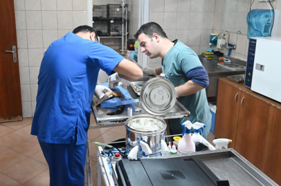 KEMER'DE TEMMUZ AYINDA 175 HAYVAN KISIRLAŞTIRILDI