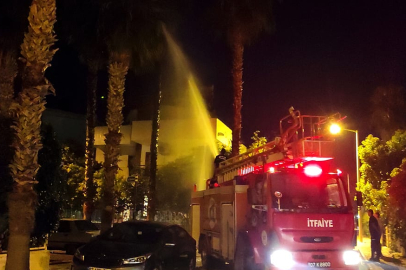 KEMER'DE PALMİYE AĞACININ YANMASI BÜYÜK TEHLİKE YARATTI