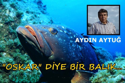 Bir sualtı hikayesi