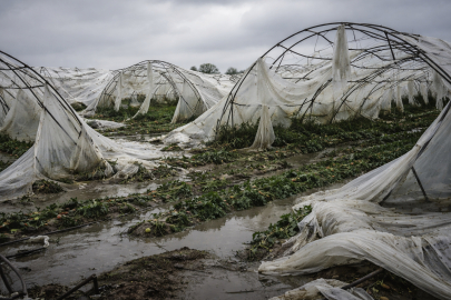 Antalya’da sağanak, fırtına ve hortum tarımı yerle bir etti