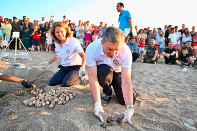 DENİZ KAPLUMBAĞALARI DENİZLE BULUŞTU